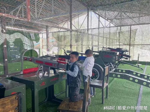 郑州鹰布气炮枪厂家解读什么是大型游乐设备特种设备
